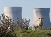 Bank Dunia–IAEA Sepakat Kembangkan Energi Nuklir Aman untuk Negara Berkembang