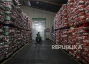 Mentan akan Umumkan 212 Merek Beras Nakal, Kerugian Konsumen Capai Rp 99 Triliun