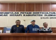 Digitalisasi Mampu Jaga Harga dan Petani Cabai di DIY