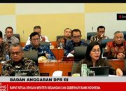 Banggar-Sri Mulyani Sepakati Target Pertumbuhan Ekonomi Lima Persen
