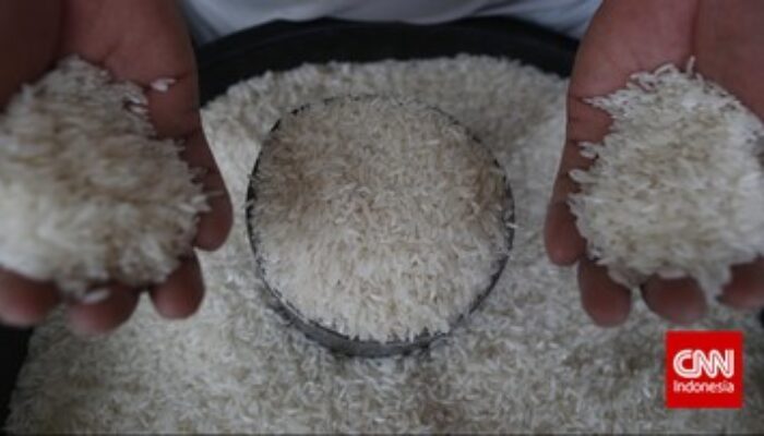 Badan Pangan Minta Ritel Turunkan Harga Jual Beras Tak Penuhi Standar