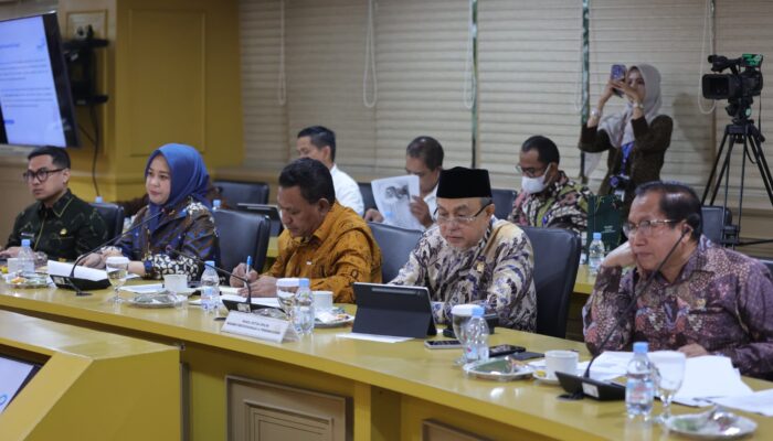 Dorong Obligasi Daerah, DPD RI Ungkap Celah Fiskal Pemda