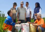 Pupuk Kaltim Dongkrak Produksi Lewat Pertanian Berkelanjutan di Gowa