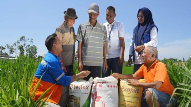 pupuk-kaltim-kasih-bukti-metode-pertanian-berkelanjutan-bisa-dongkrak-produksi