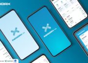 Indodax Rilis Enam Aset Kripto Baru, Transaksi Melonjak