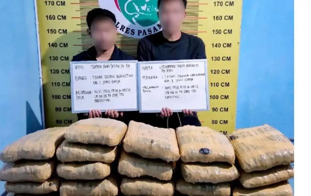 satres-narkoba-polres-pasaman-gagalkan-peredaran-21-paket-besar-ganja