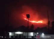 Petugas Damkar Solok Kewalahan Padamkan Puluhan Hektar Karhutla