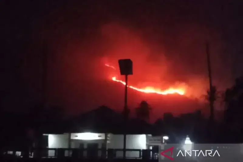 petugas-damkar-solok-kerja-keras-padamkan-kebakaran-hutan-dan-lahan