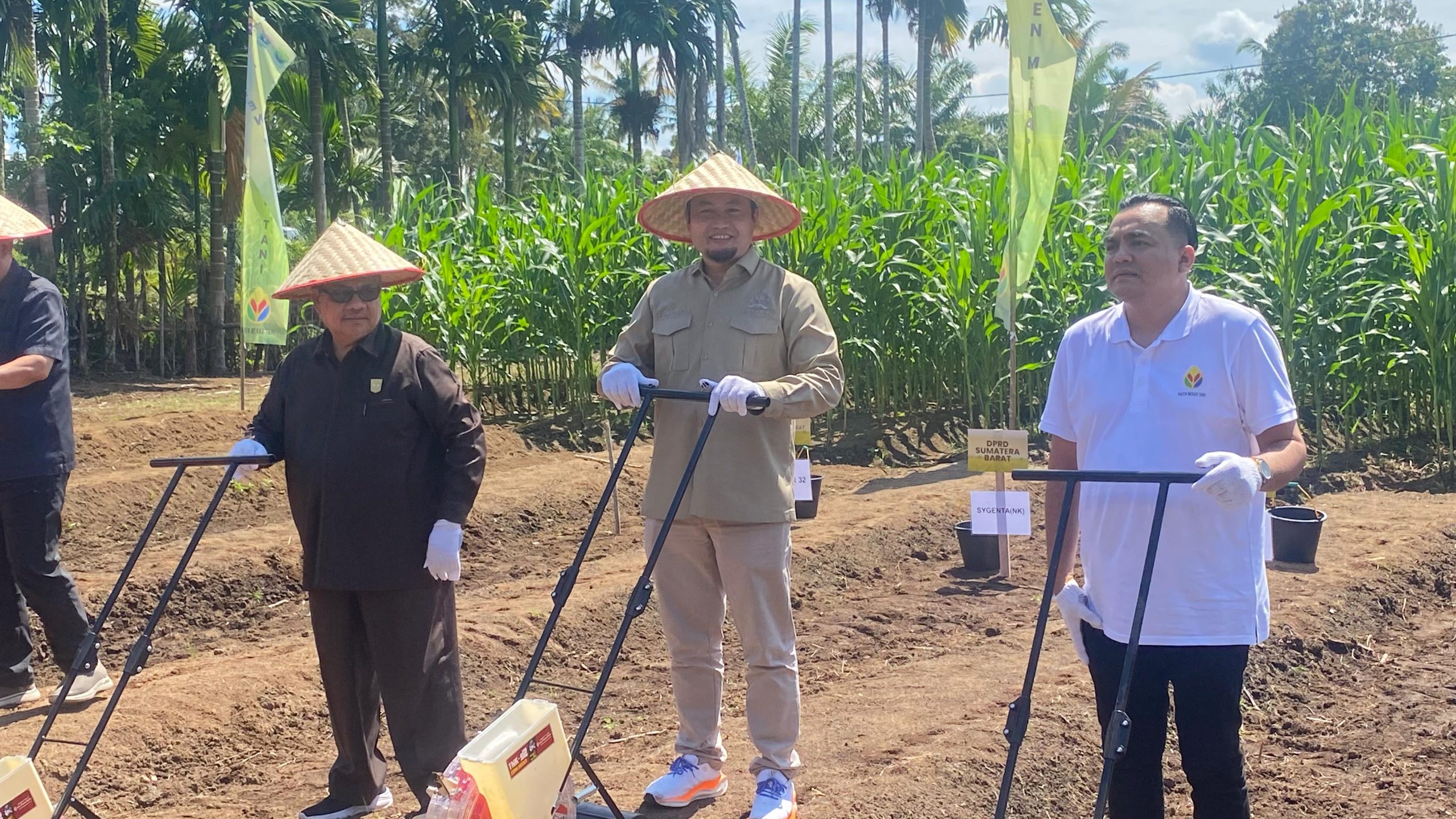 potensi-200-ribu-hektare-lahan-jagung,-rahmat-saleh:-sumbar-punya-masa-depan-pangan
