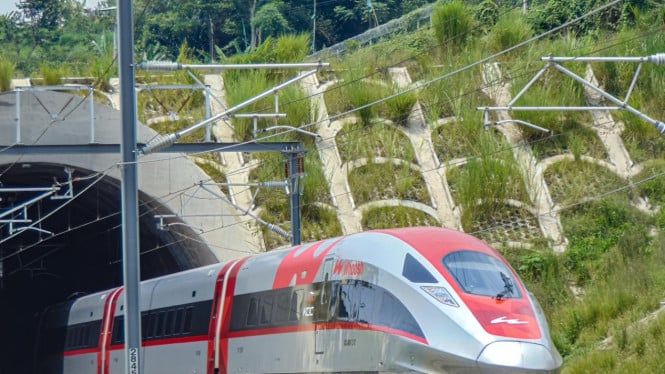 whoosh-tabrak-biawak-bikin-delay,-sudah-10-kali-selama-2025