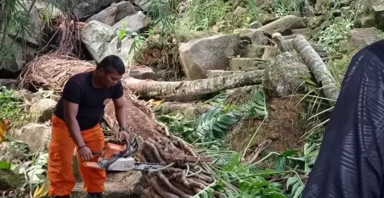 rumah-warga-batang-arau-ditimpa-pohon-tumbang