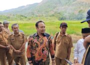 Krisis Air Solok Ancam Pertanian, Rahmat Saleh Kawal Penanganan ke Pusat