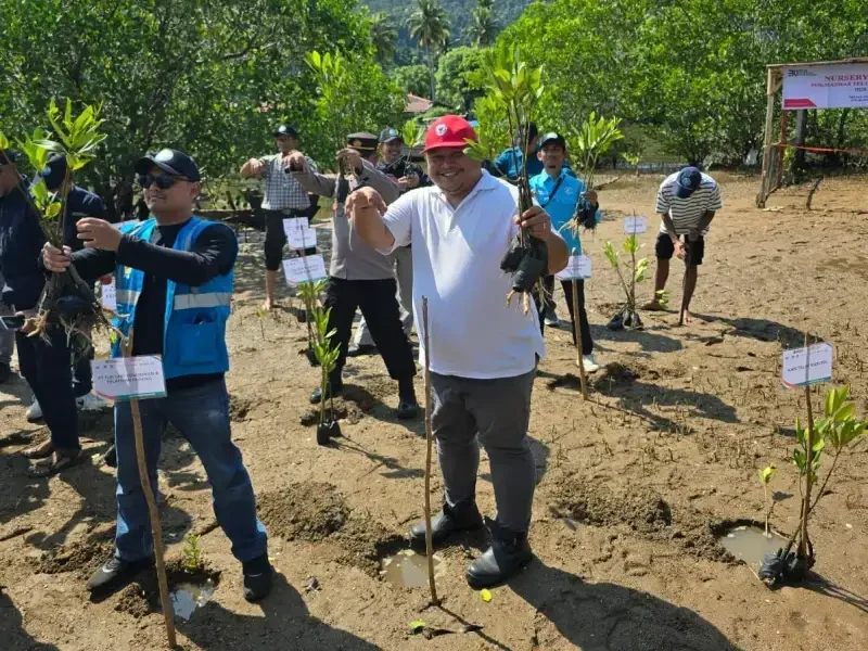 pt-semen-padang-tanam-1.000-bibit-mangrove-di-sungai-pisang,-dukung-pelestarian-pesisir-dan-ekosistem-laut