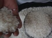 Zulhas Soal Beras Oplosan: Nyampur Tidak Apa-apa, Asal Tidak Bohong