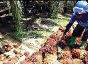 BPDP Sawit Raih Penghargaan, Dorong Fesyen UMKM di Jogja Fashion Week