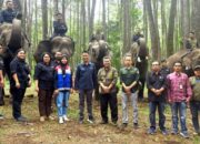 Pertamina Patra Niaga Lestarikan Gajah Sumatera, Dukung Wisata Edukasi Aek Nauli