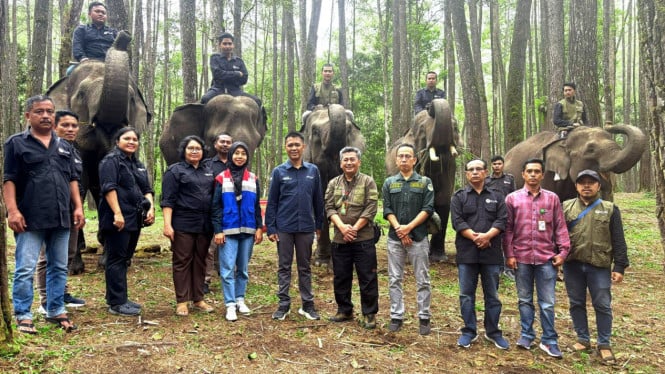 dukung-konservasi-gajah-sumatera,-pertamina-patra-niaga-tegaskan-genjot-bisnis-berkelanjutan