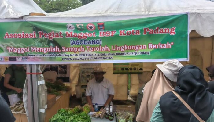 Agodang Ubah Sampah Padang Jadi Berkah Lewat Maggot BSF