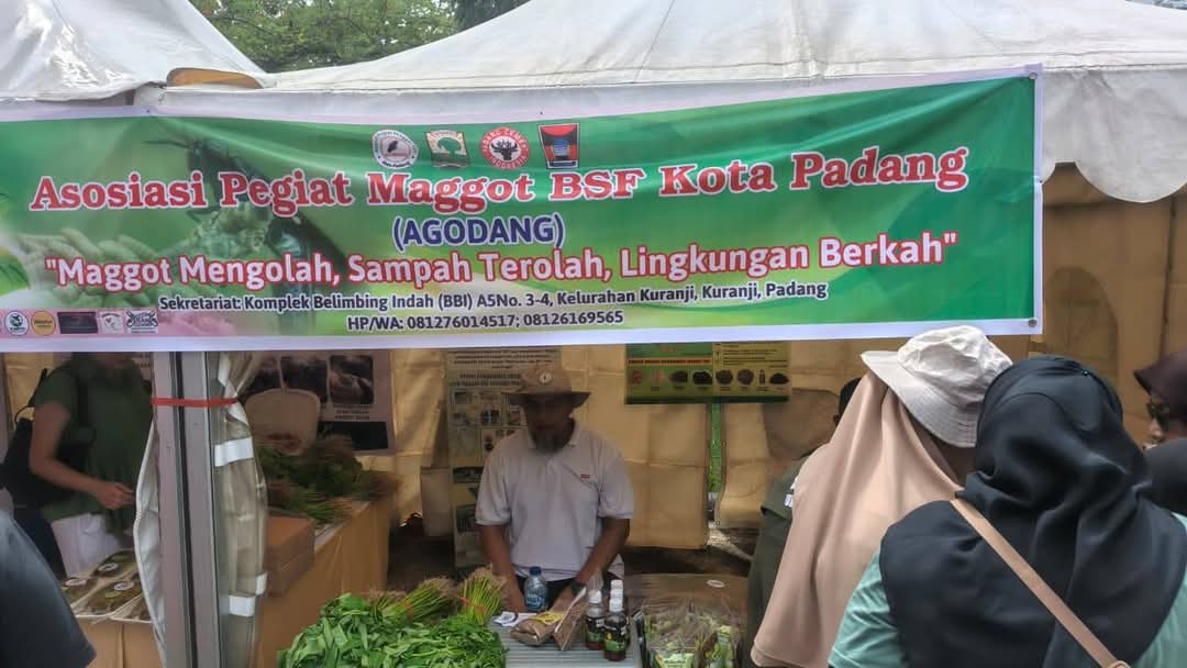 agodang-jadikan-maggot-mesin-hidup-pengurai-15-ton-sampah-padang