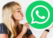 Pemerintah Tuding WhatsApp-Telegram Tolak Hukum Rusia, Lindungi Teroris?