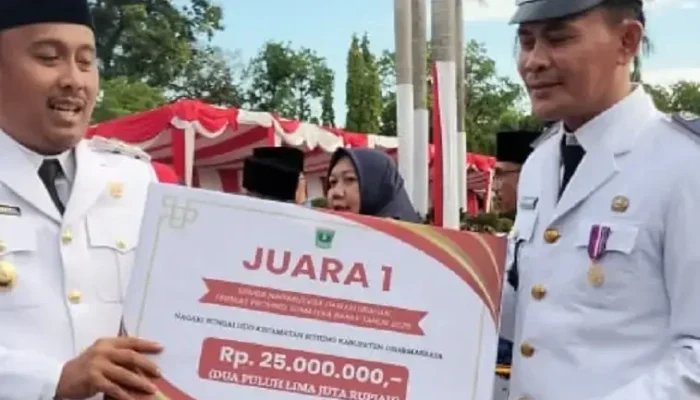 Sungai Duo Raih Juara Lomba Nagari, Wakili Sumbar ke Tingkat Nasional