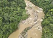 Pencarian Korban Hanyut Sungai Batang Pasaman Dihentikan