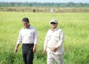 Mentan Klarifikasi: Bandingkan Harga Beras Jepang, Tingkatkan Rasa Syukur?