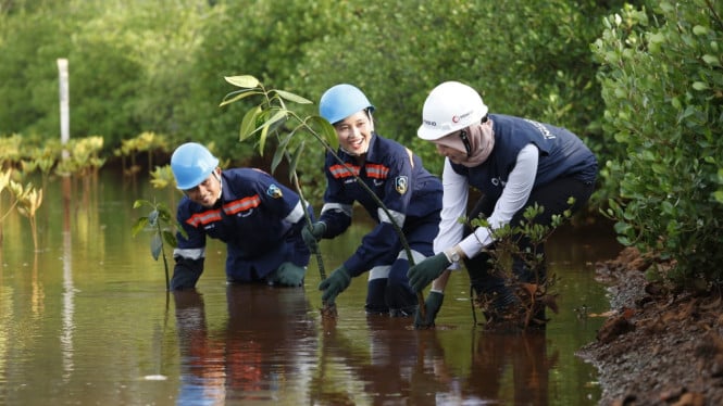 hilirisasi-mineral-tetap-mampu-jaga-kelestarian-alam-indonesia