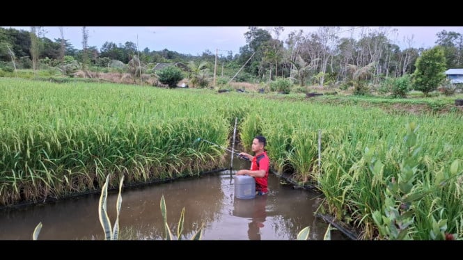 perkuat-ketahanan-energi-hingga-ketahanan-pangan,-pertamina-kembangkan-110-inovasi-lewat-program-pfmuda