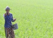 Pupuk Kaltim Genjot Produksi, Salurkan Subsidi, Berdayakan UMKM Lokal