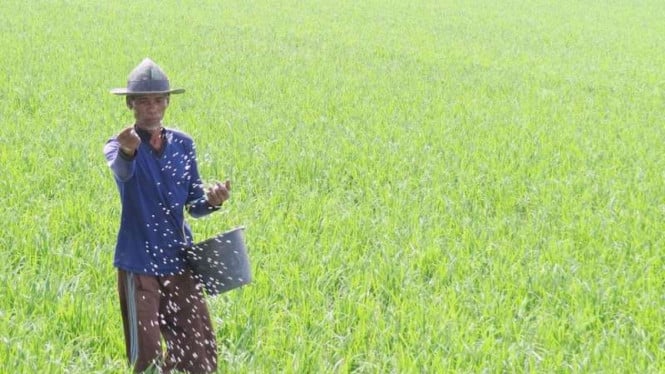 ada-kejutan-dari-pupuk-kaltim