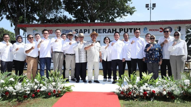 bri-dukung-program-sapi-merah-putih,-dorong-swasembada-pangan-nasional
