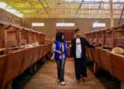 Setengah Juta UMKM Naik Kelas, BRI Genjot Penyaluran KUR Produktif