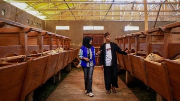 setengah-juta-pengusaha-umkm-naik-kelas-berkat-penyaluran-kur-bri