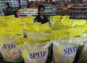 Ombudsman Soroti Kualitas Beras SPHP Bulog, Minta Perbaikan Distribusi