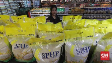 ombudsman-sebut-kualitas-beras-sphp-bulog-sering-dikeluhkan-konsumen