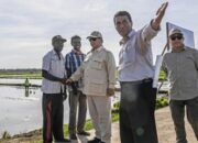 Mentan Bantah Klaim Alih Fungsi Lahan Pertanian 100 Ribu Hektare per Tahun