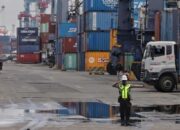 Kemendag Soroti Aturan Pungutan Ekspor dalam RUU Komoditas Strategis