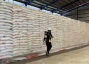 Bulog Jamin Stok Beras Nasional Aman dan Layak Konsumsi, Mutu Dijaga