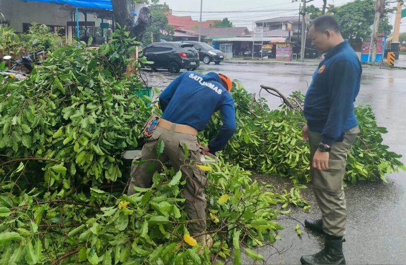 pohon-tumbang-di-jati-baru-padang