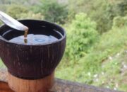 Eksplorasi Rasa: Cicipi Minuman Tradisional Sumatera Barat