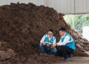 PLN EPI Kembangkan Biomassa, Kejar Target Energi Bersih