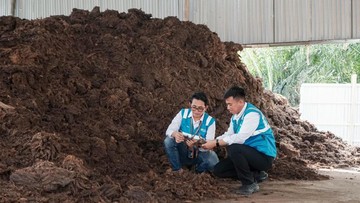 pln-epi-genjot-ekosistem-biomassa,-demi-target-3-juta-ton-di-2025