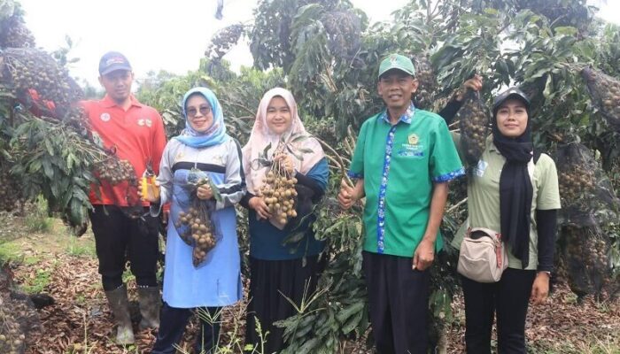 Wabup Apresiasi Petani Dharmasraya Kembangkan Pertanian Jaga Ketahanan Pangan