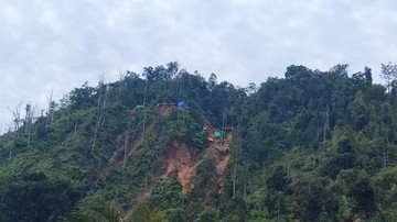 321-hektare-tambang-ilegal-berhasil-kembali-ke-negara