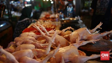 pedagang-ayam-di-tangerang-mengeluh-sepi-pembeli-karena-harga-tinggi