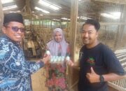 Kades Batu Tanjung Marwan Gencar Dorong Ekonomi Masyarakat Dengan Ternak Itik