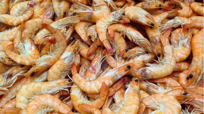 pengusaha-tambak-tegaskan-kasus-radioaktif-udang-bisa-ganggu-rantai-pasok-nasional