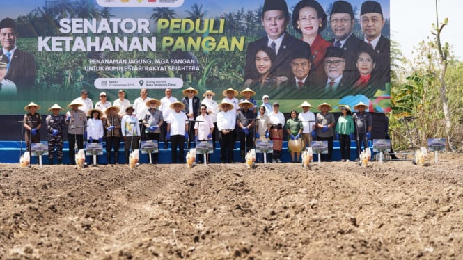 akselerasi-target-swasembada-pangan,-kementan-dan-dpd-tanam-jagung-serentak-di-4-provinsi