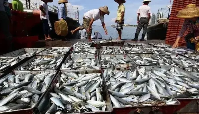 Laboratorium Perikanan Ekspor RI: Tingkatkan Mutu, Kejar Ketertinggalan!